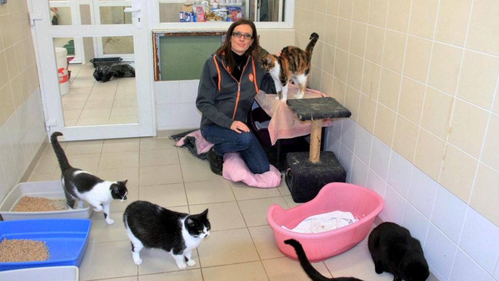 Sauver la planète en sauvant des animaux EcoloStreet